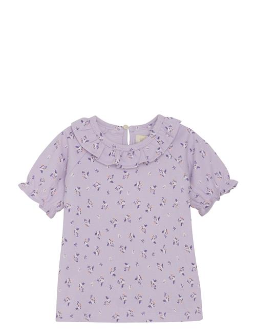 T-Shirt Ss Crepe Creamie Purple