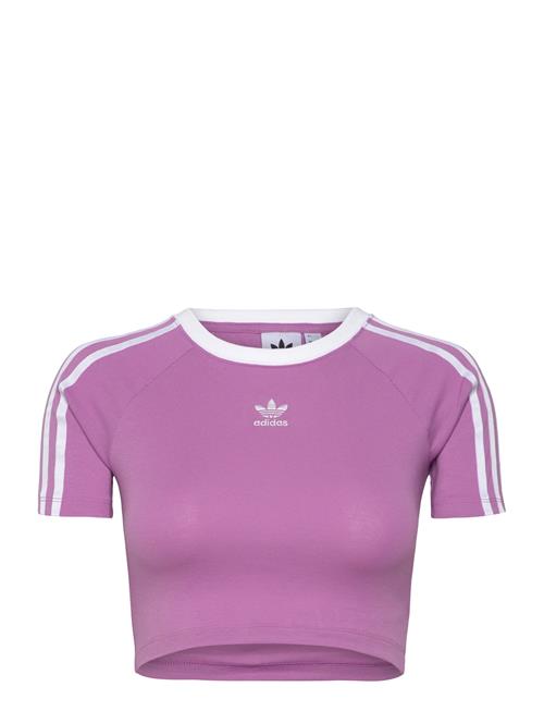 Se 3 S Baby Tee Adidas Originals Purple ved Booztlet