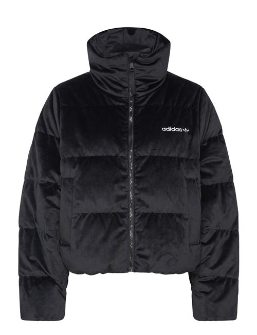 Velvet Down Jkt Adidas Originals Black