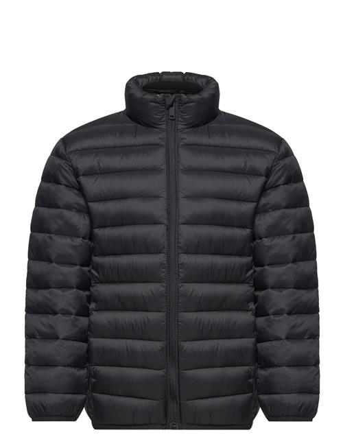 Quilted Jacket Mango Black