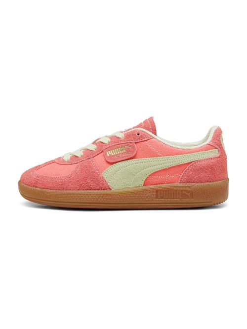 PUMA Sneaker low 'Palermo'  kit / koral / laks