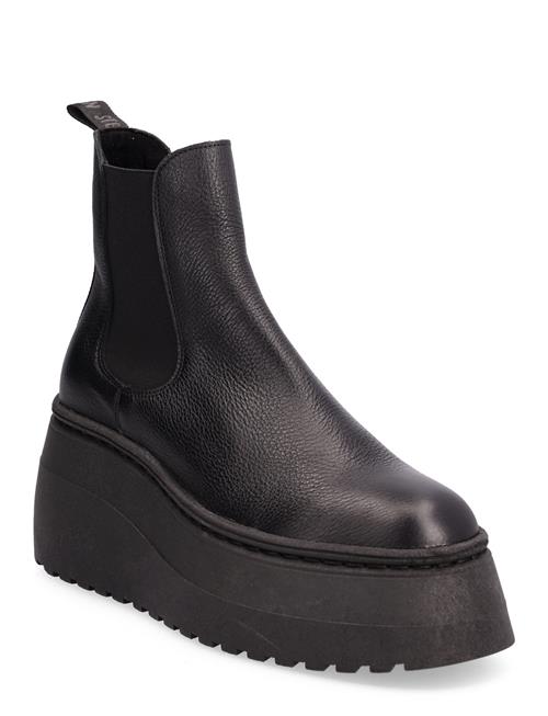 Pegasus Steve Madden Black