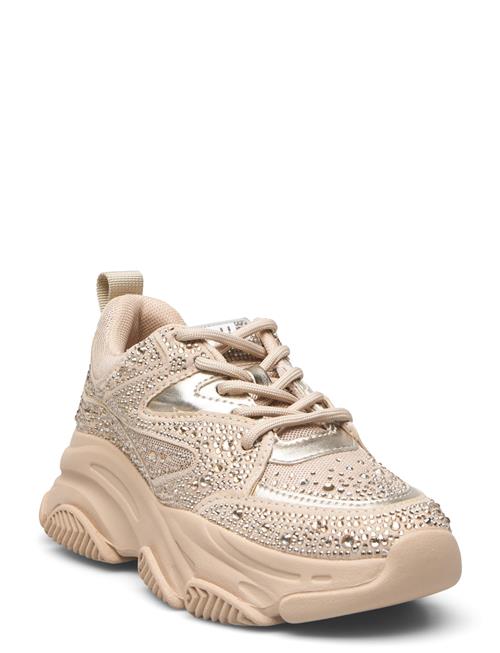 Jprivy Sneaker Steve Madden Beige