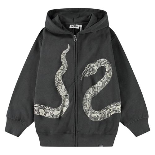 Molo Mazzo Hoodie Unexplored | Grå | 116 cm