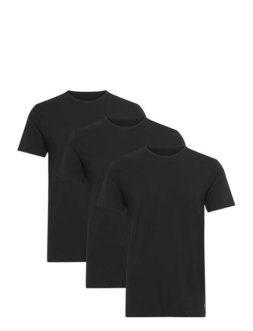 Basic 3 Pack T-Shirt Lyle & Scott Black