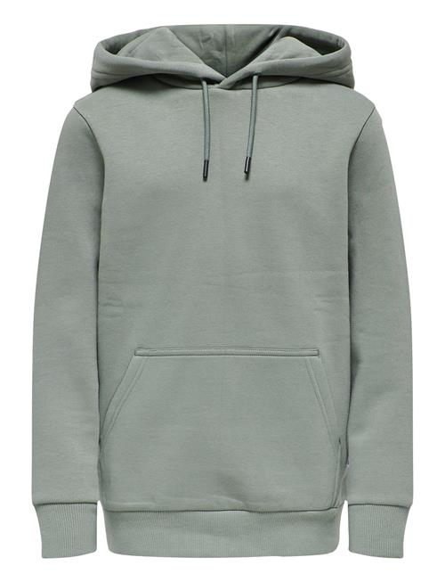 Osjceres Hoodie Swt Noos ONLY & SONS Grey