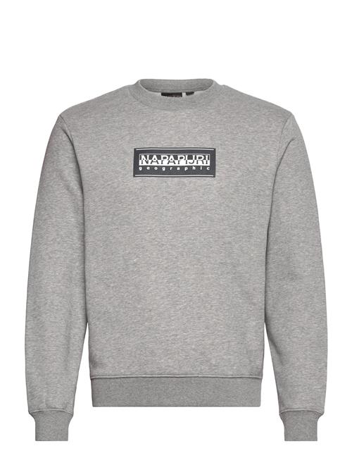 Box Logo Sweatshirt Napapijri Grey