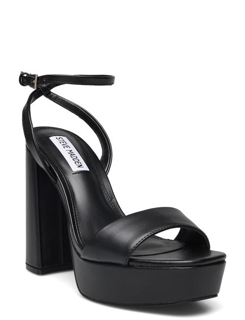 Lessa Sandal Steve Madden Black