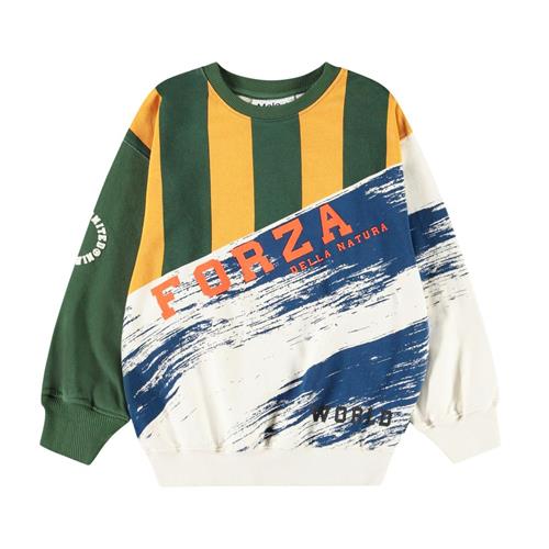 Molo Monti Sweatshirt Mash Up 164 cm  Grøn  164 cm  mand
