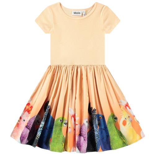 Molo Cissa Short-Sleeved Dress Rainbow Parrots | Orange | 146/152 cm