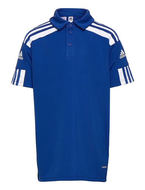 Squadra21 Polo Youth Adidas Performance Blue