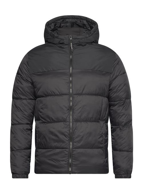 Jack & Jones Jjetoby Puffer Hood Sn Jack & J S Black