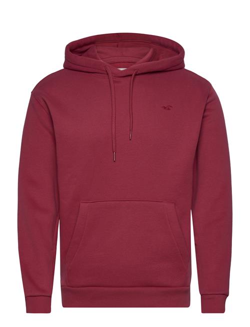 Hco. Guys Sweatshirts Hollister Burgundy