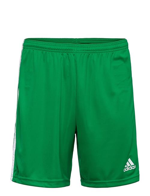 Squadra 21 Short Adidas Performance Green