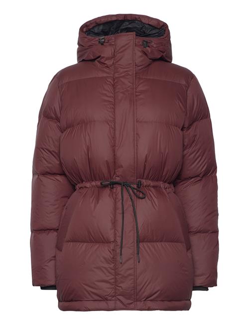 W Down Hood Parka-Sapote Peak Performance Burgundy