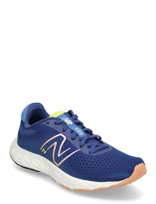 New Balance 520 V8 New Balance Blue