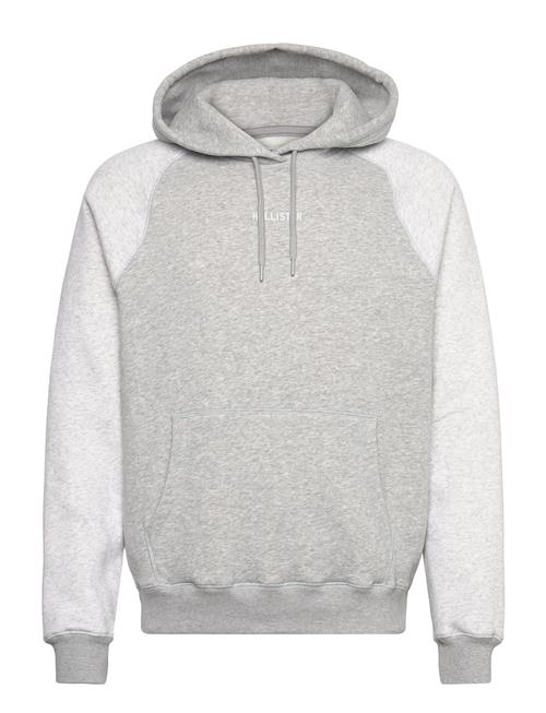 Hco. Guys Sweatshirts Hollister Grey