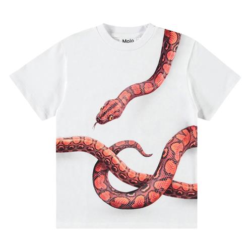 Molo Rubin Short Sleeve T-Shirt Red Snake 152 cm  Hvid  152 cm  mand