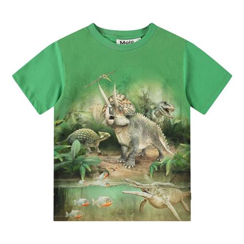 Se Molo Riley Short Sleeve T-Shirt Jungle Dinos 98 cm  Grøn  98 cm  mand ved Babyshop