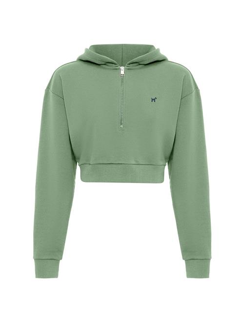 Williot Sweatshirt 'Isabella'  grøn