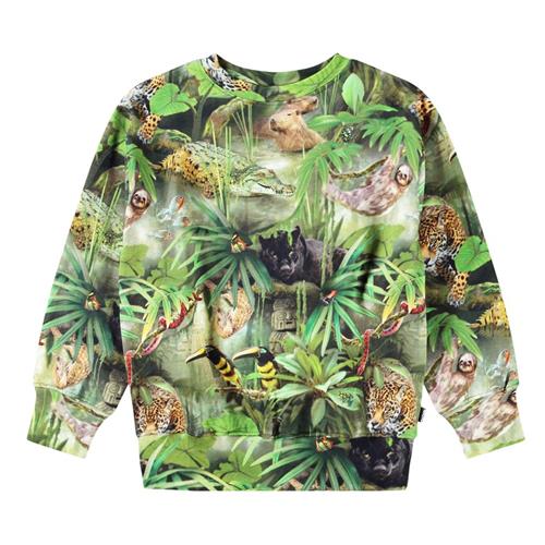 Molo Mattis Sweatshirt Jungle Animals | Grønn | 92 cm