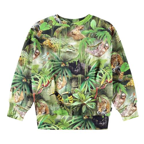 Molo Mattis Sweatshirt Jungle Animals 128 cm  Grøn  128 cm  mand