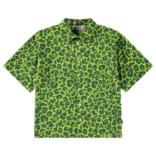 Molo Richie Long Sleeve Shirt Jaguar_green 122/128 cm  Grøn  122/128 cm  mand