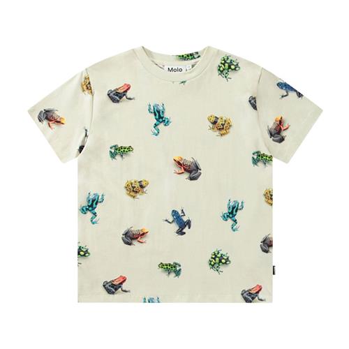 Molo Roxo Short Sleeve T-Shirt Vibrant Frogs 110 cm  Beige  110 cm  mand
