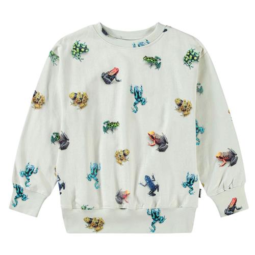 Molo Mattis Sweatshirt Vibrant Frogs 140 cm  Beige  140 cm  mand