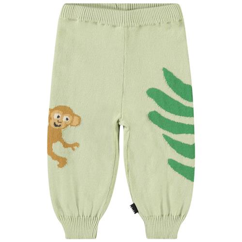 Molo Sol  Jungle Life 98 cm  Grøn  98 cm  Unisex