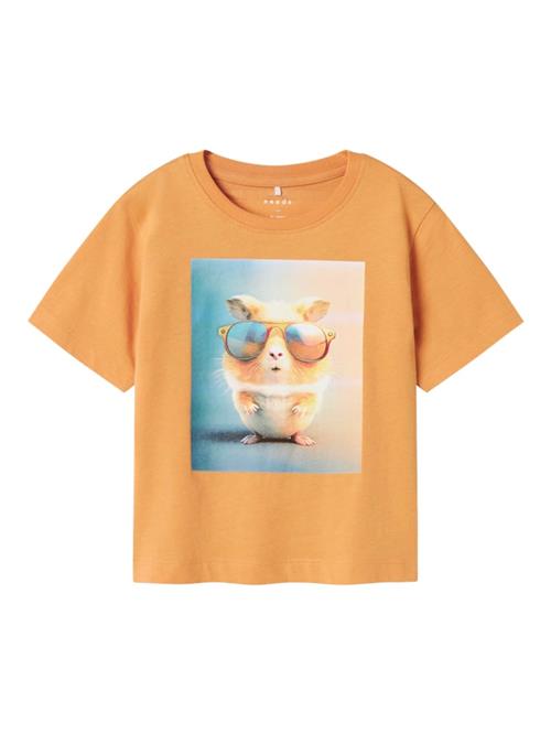 NAME IT Bluser & t-shirts 'NMMVOTO'  turkis / orange / lyseorange