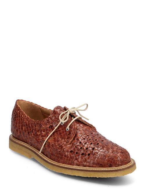 Shoes - Flat - With Lace ANGULUS Brown