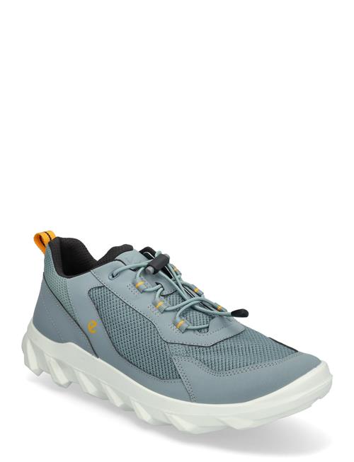 Mx M ECCO Blue