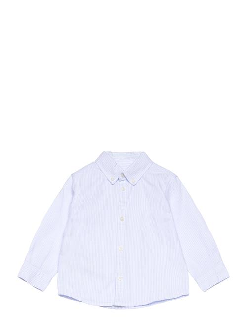 Oxford Cotton Shirt Mango Blue