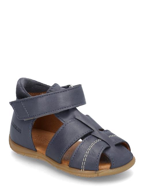 Sandals - Flat - Closed Toe ANGULUS Blue