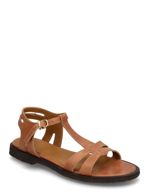 Sandals - Flat ANGULUS Brown