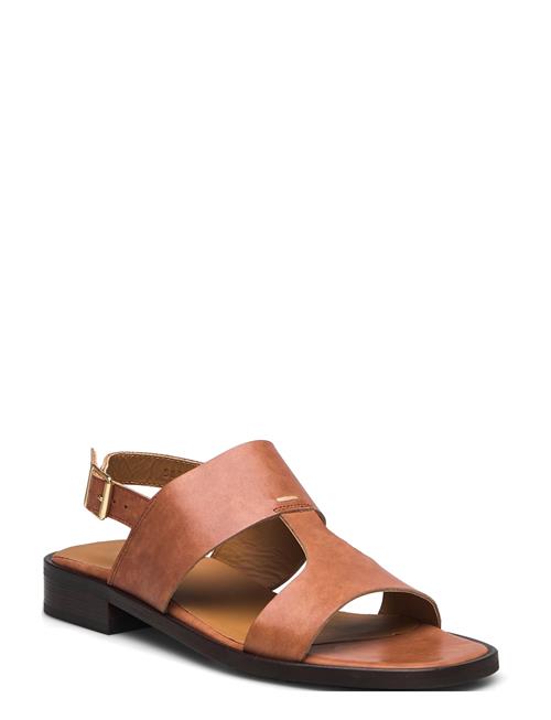 Sandals - Flat ANGULUS Brown