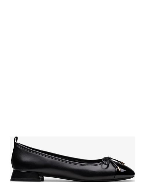 Ubree15 Poppy D Clarks Black