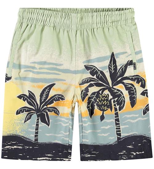 Molo Shorts - Adi - Beach Banana