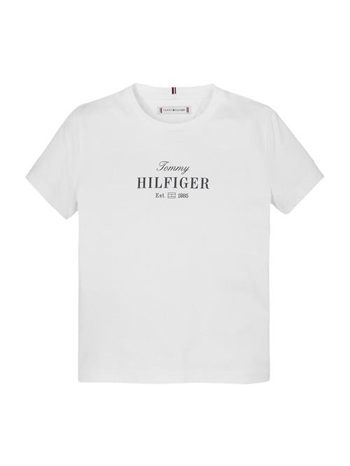 TOMMY HILFIGER Shirts  sort / hvid