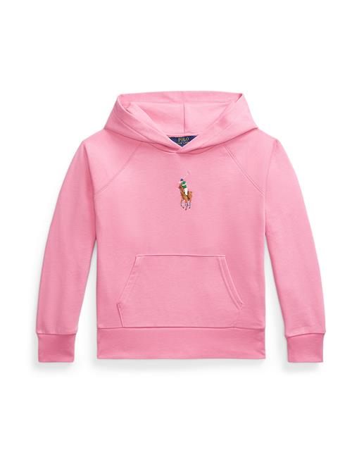 Polo Ralph Lauren Sweatshirt  karamel / gran / gammelrosa / hvid