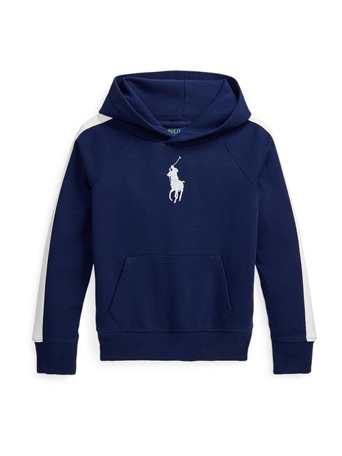 Polo Ralph Lauren Sweatshirt  navy / hvid