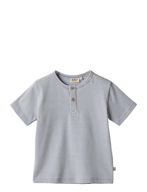 T-Shirt Lumi Wheat Blue