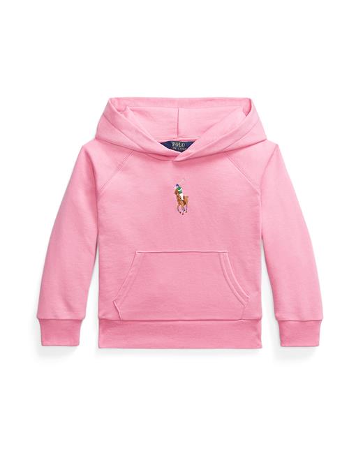 Polo Ralph Lauren Sweatshirt  brun / grøn / lyserød / hvid