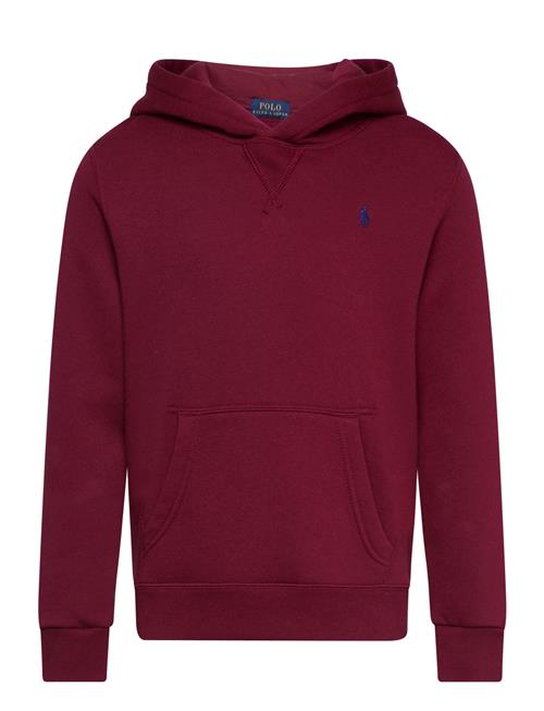 Seasonal Fleece-Ls Po Hood-Tp-Knt Ralph Lauren Kids Burgundy