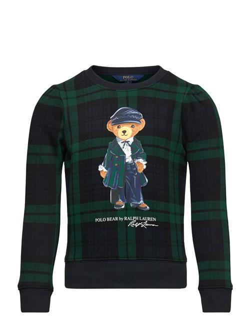 Plaid Polo Bear Fleece Sweatshirt Ralph Lauren Kids Navy