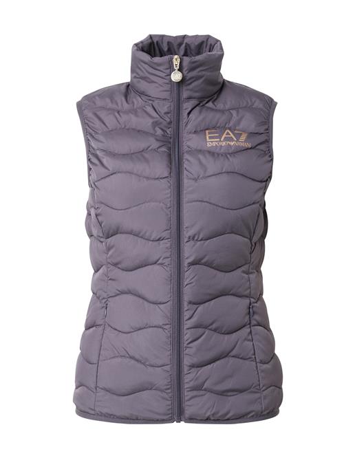 EA7 Emporio Armani Vest  mokka / mørkegrå