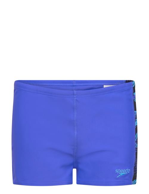 Boys Hyperboom Panel Aquashort Speedo Blue