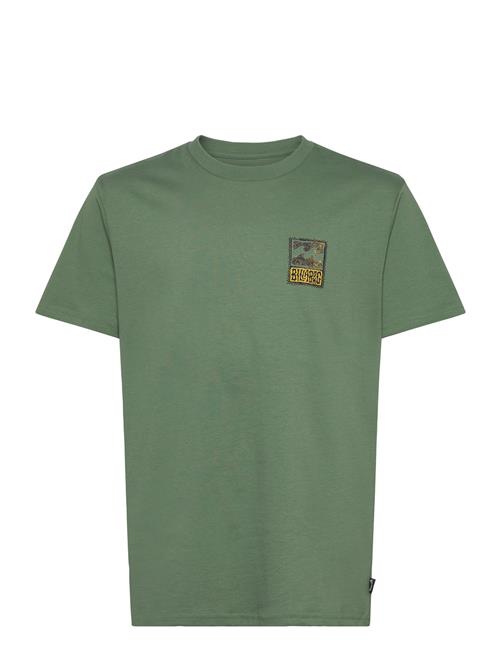 Stamp Ss Billabong Green