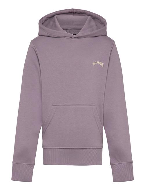 Arch Po Lt Billabong Purple